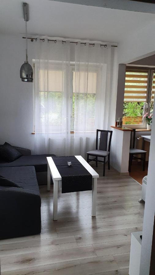 Willa Nad Potokiem Kudowa-Zdrój Exteriör bild